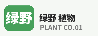 四虎
