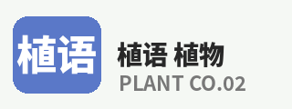 四虎