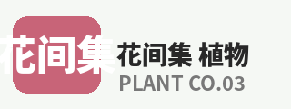 四虎