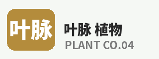 四虎