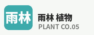四虎
