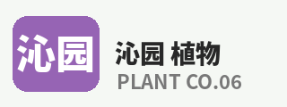 四虎